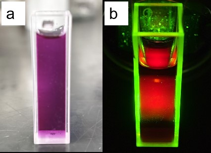 Nanopartículas de ponto quântico de carbono de luz vermelha (CQD)